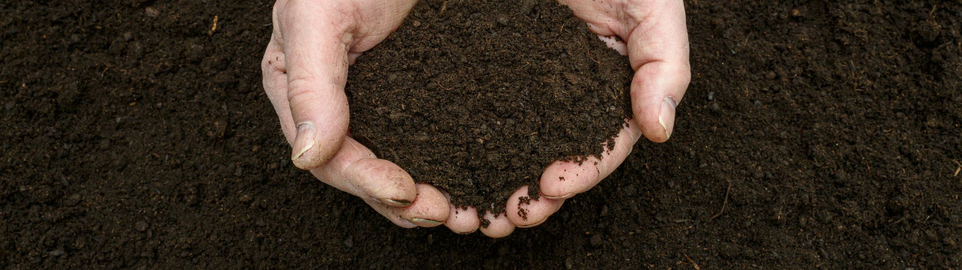 Organic Compost Organic Waste Connections